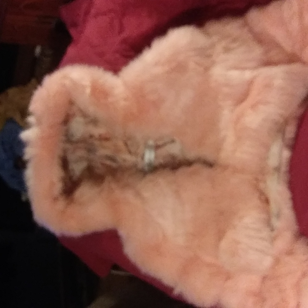 Baby pink faux fur cropped parka jacket size S NWOT Pleaser